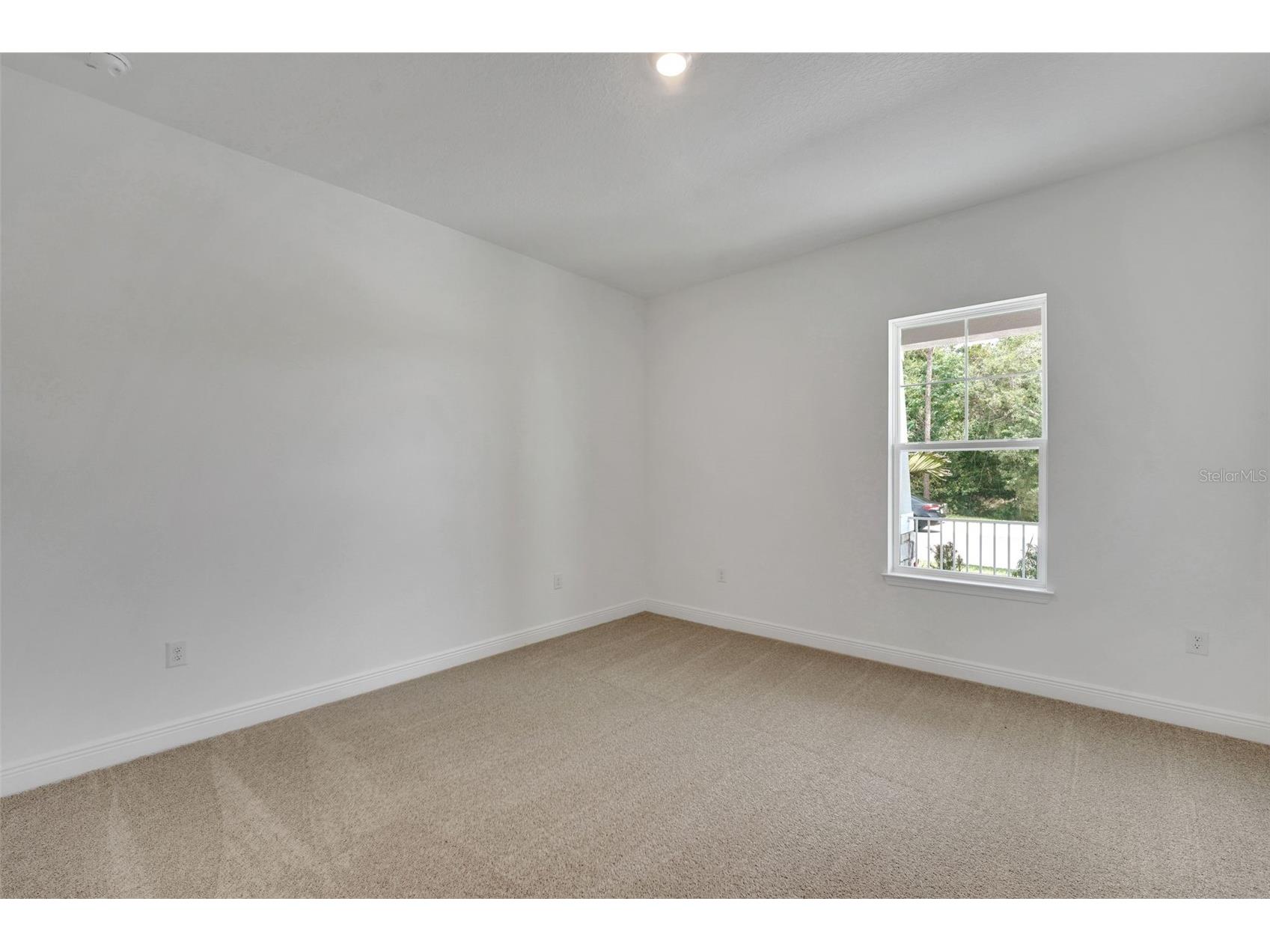 15160 Tea Tree Drive Winter Garden FL 34787 G5113740 image13