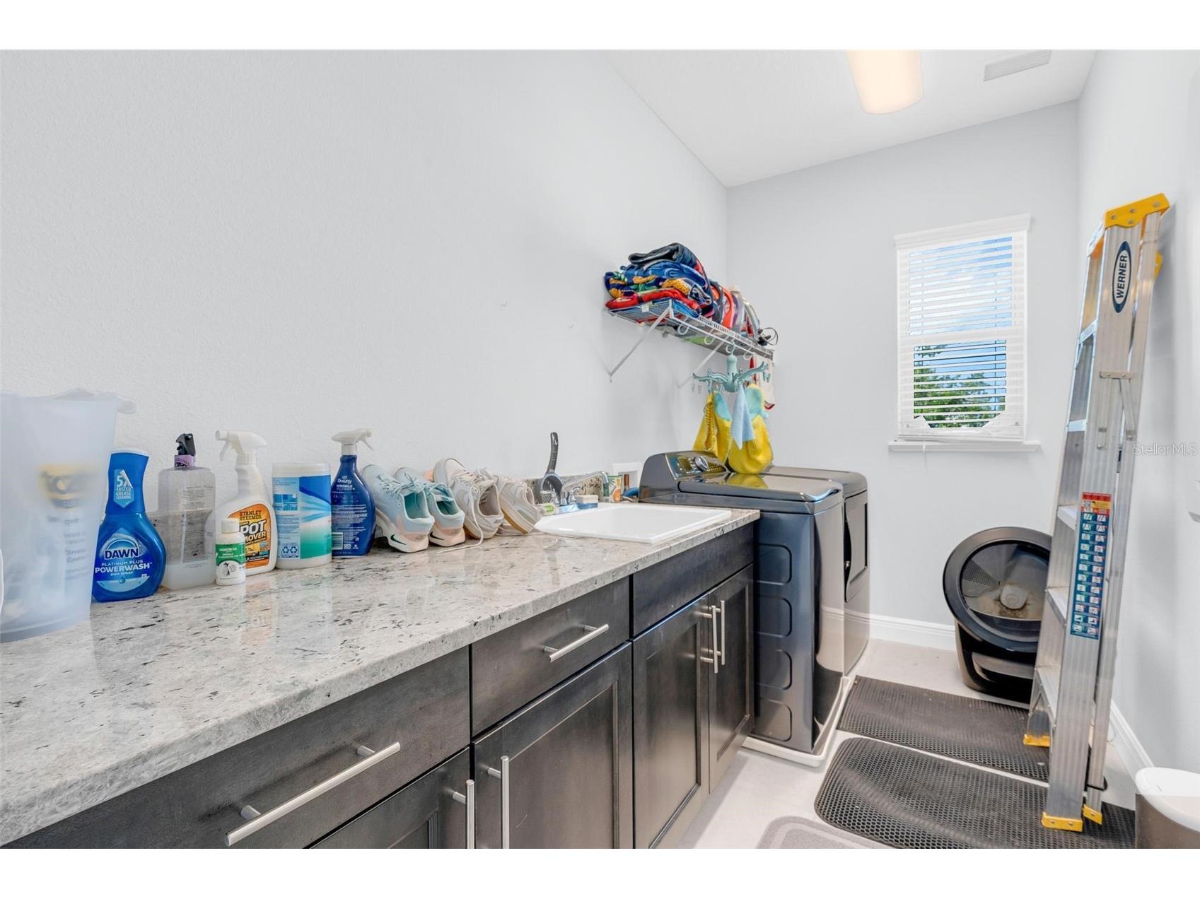 15161 Canoe Place Winter Garden FL 34787 O6398949 image24