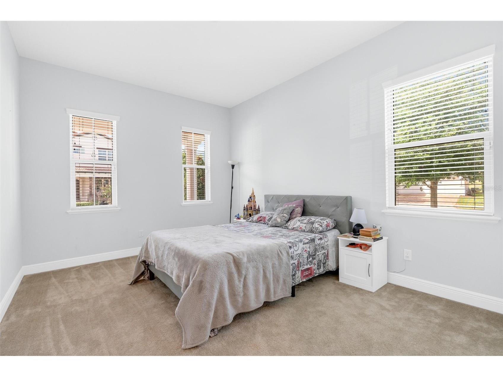 15161 Canoe Place Winter Garden FL 34787 O6398949 image40