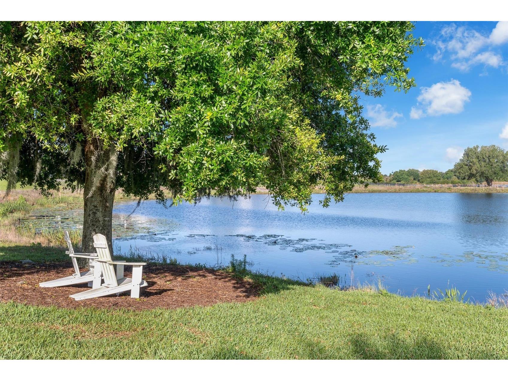 15161 Canoe Place Winter Garden FL 34787 O6398949 image63