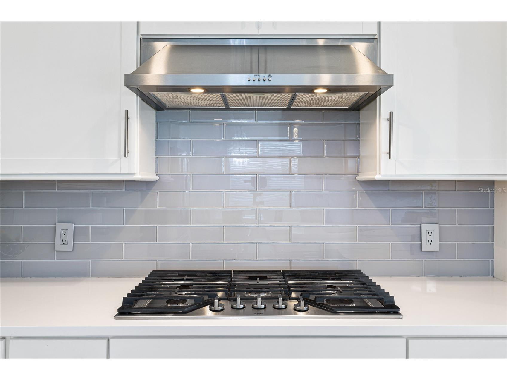 15162 Canopy Cover Drive Winter Garden FL 34787 S5139203 image26