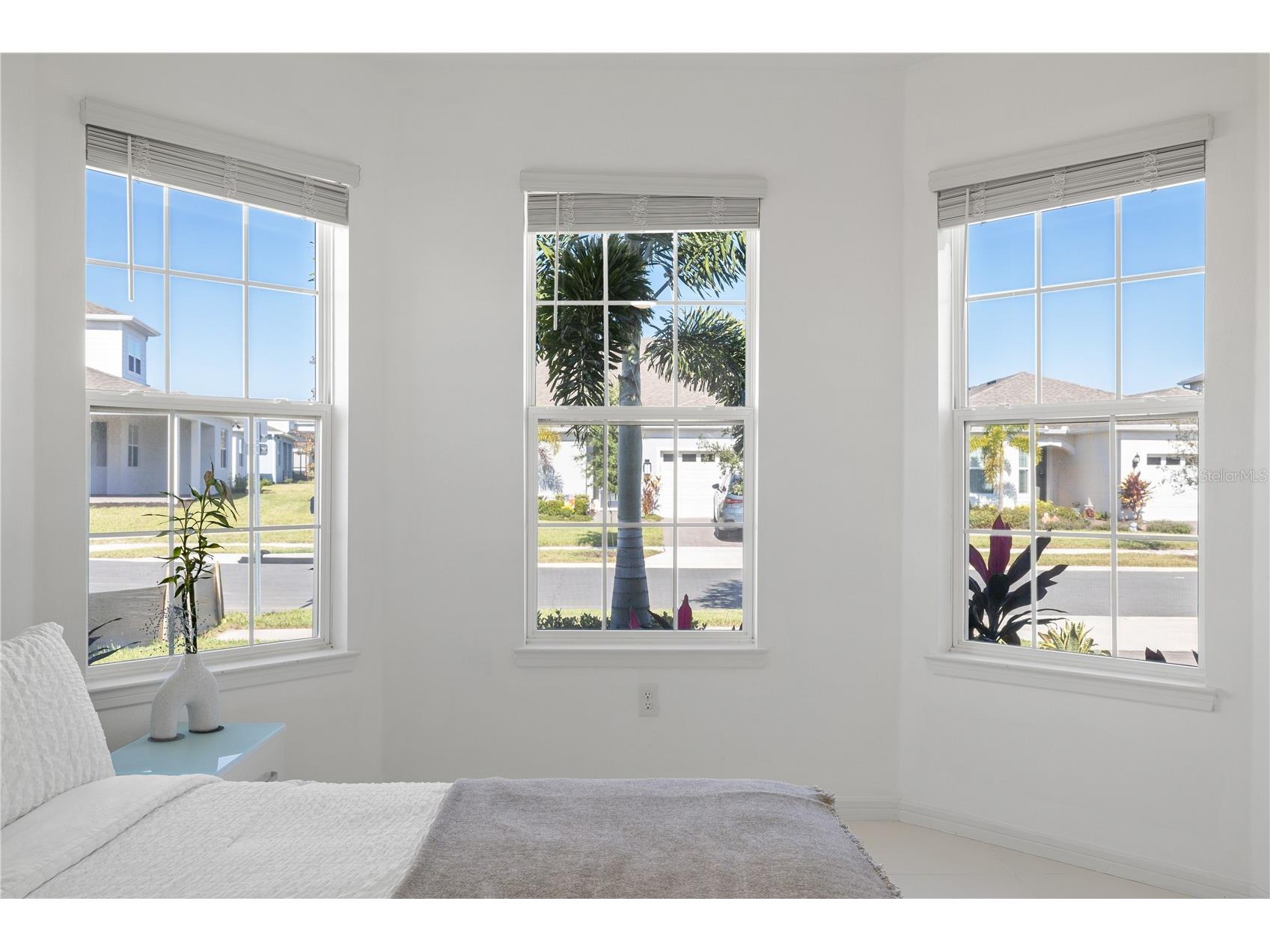 15162 Canopy Cover Drive Winter Garden FL 34787 S5139203 image39