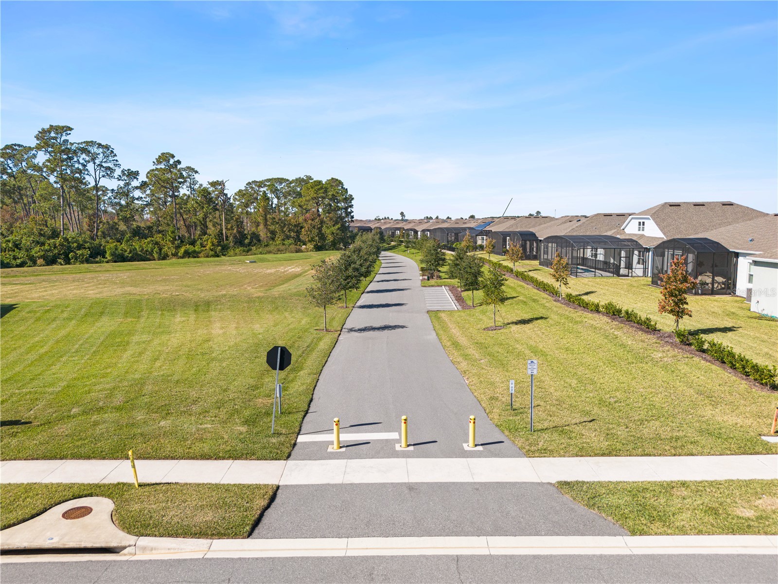 15162 Canopy Cover Drive Winter Garden FL 34787 S5139203 image53