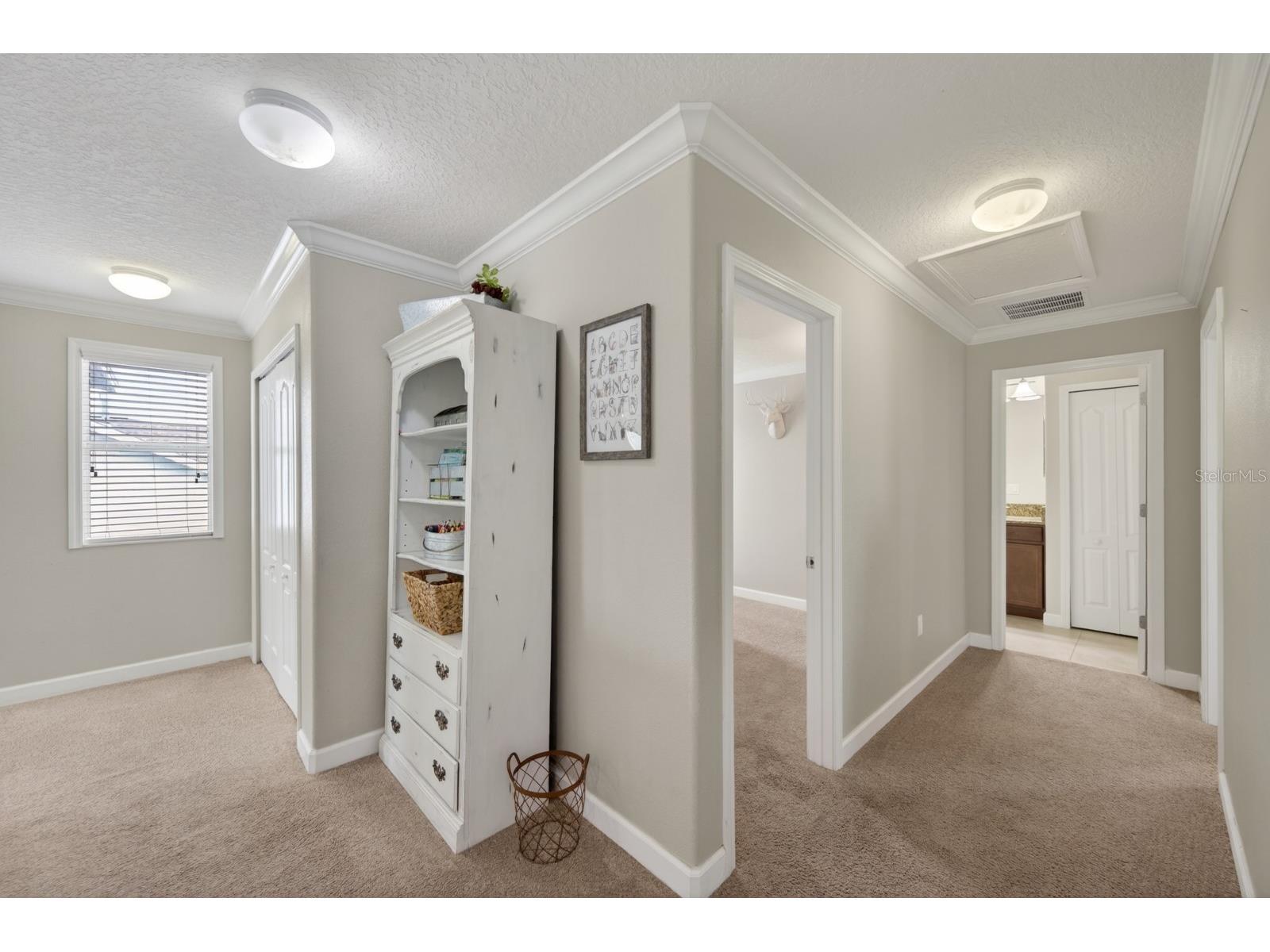 15162 Evergreen Oak Loop Winter Garden FL 34787 O6413232 image24