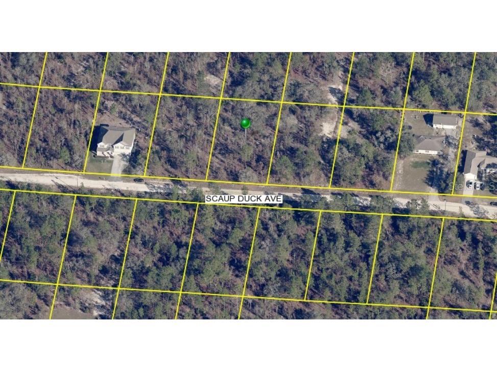 15163 Scaup Duck Avenue Weeki Wachee FL 34614 FC311691 image1