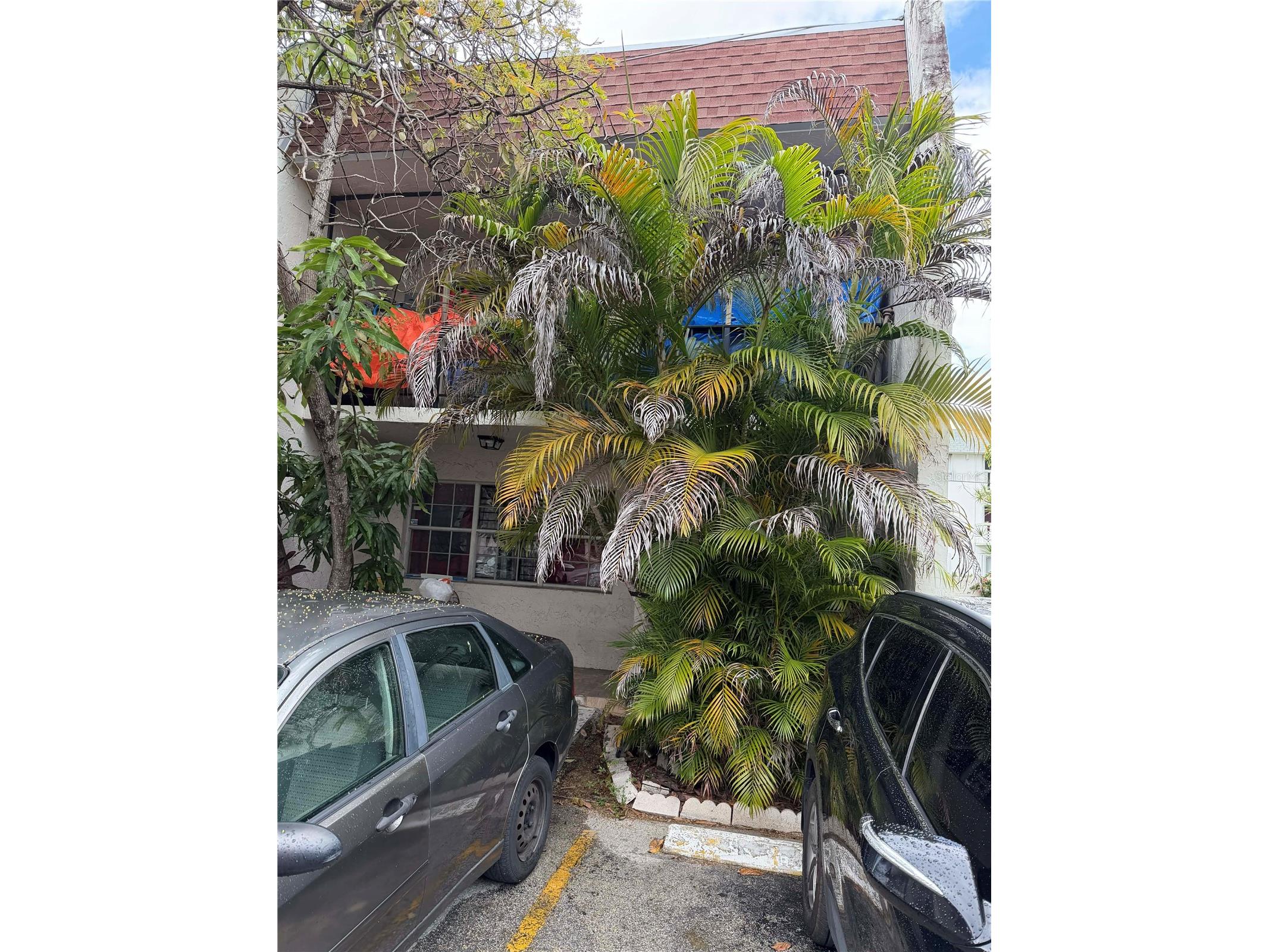 15165 NE 6th Avenue Miami FL 33162 TB8485695 image2