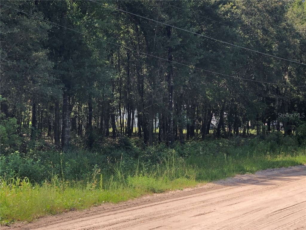 1517 Aspen Street Bunnell FL 32110 FC293264 image1