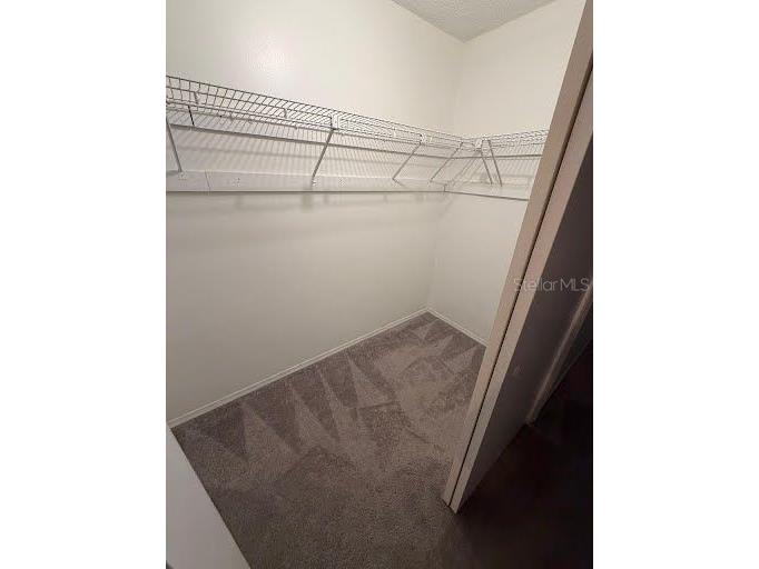 1517 Chateaux De Ville Court Clearwater FL 33764 TB8447030 image19