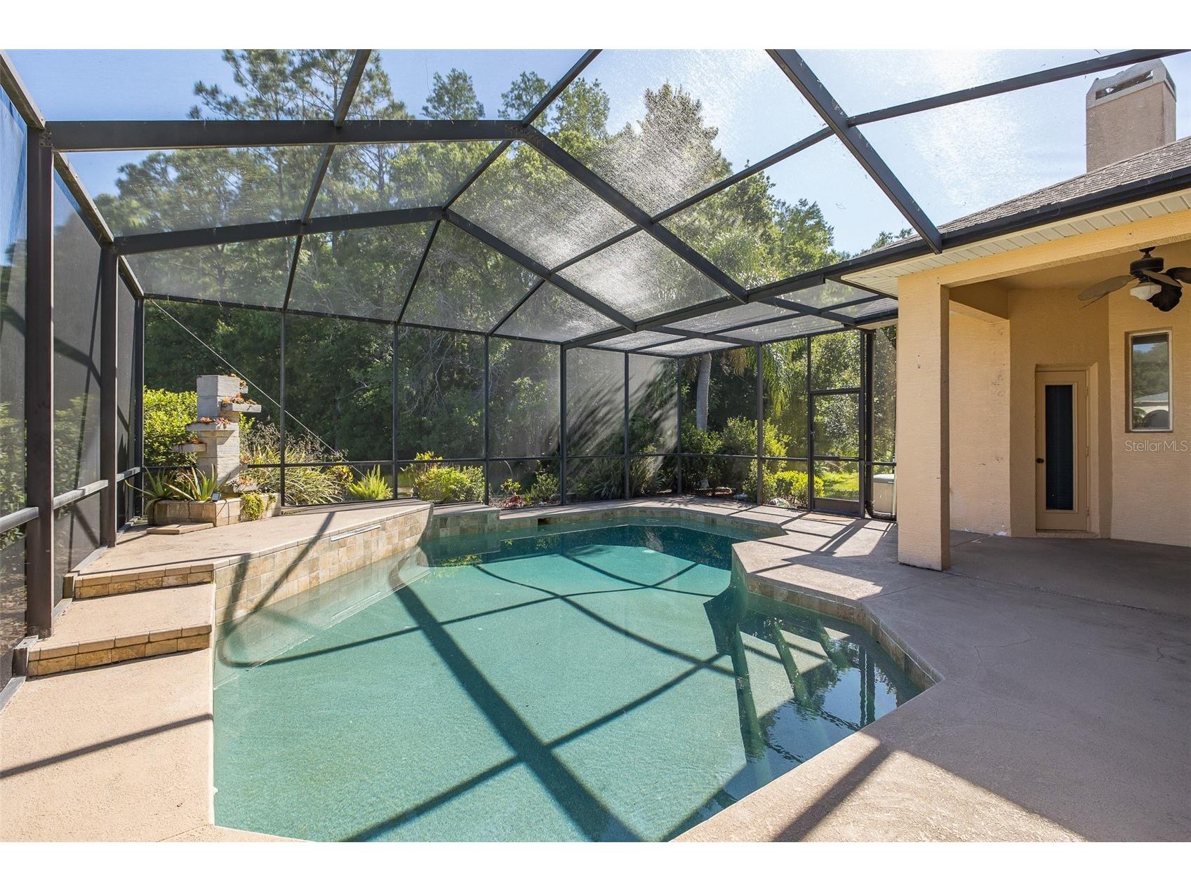 1517 Haverhill Drive New Port Richey FL 34655 W7885466 image10