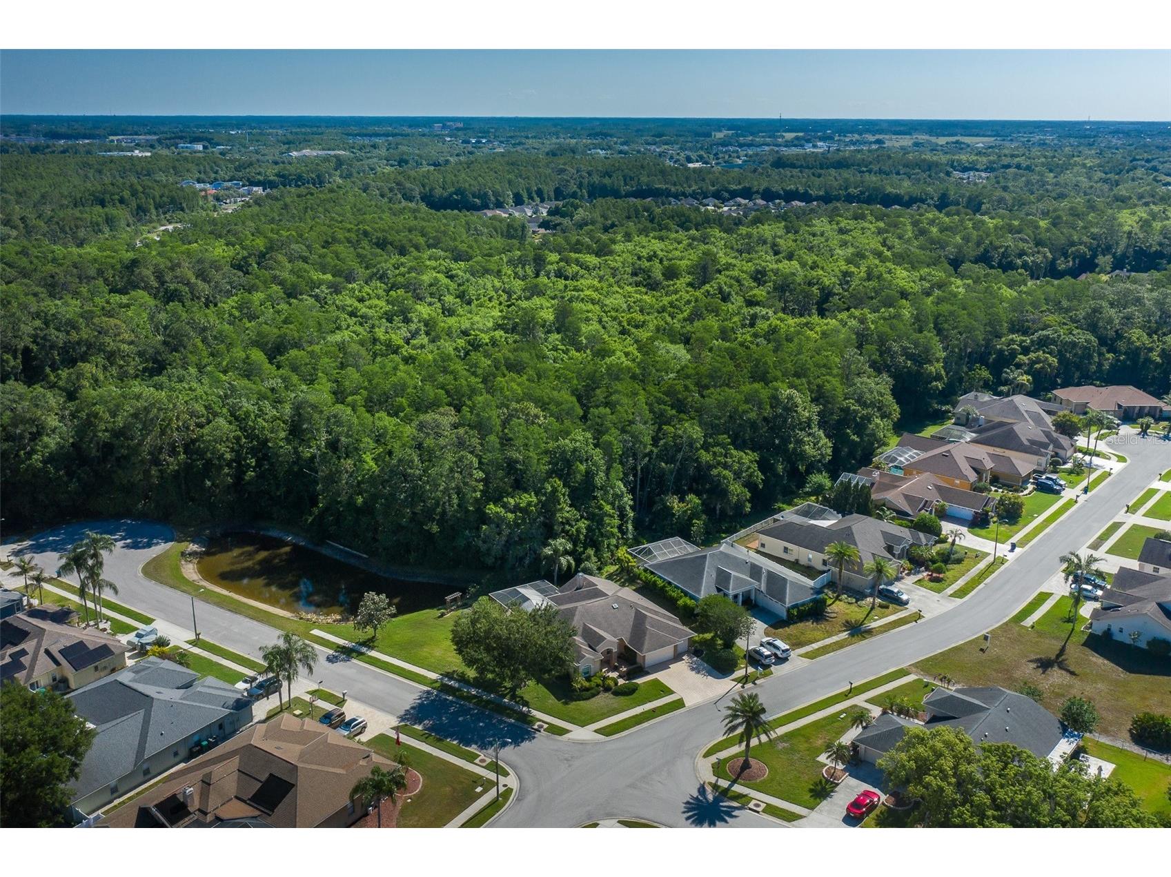 1517 Haverhill Drive New Port Richey FL 34655 W7885466 image17