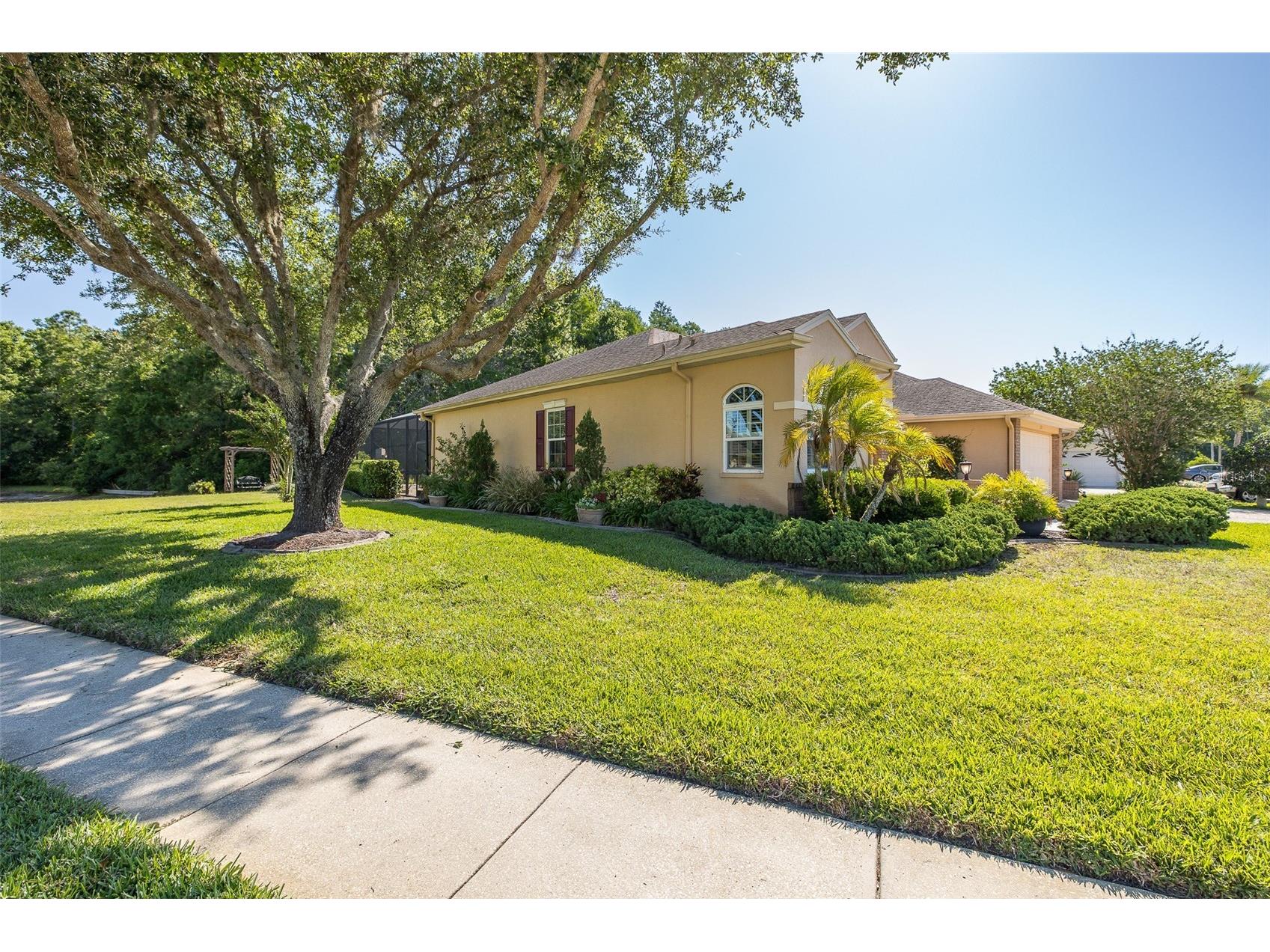1517 Haverhill Drive New Port Richey FL 34655 W7885466 image61