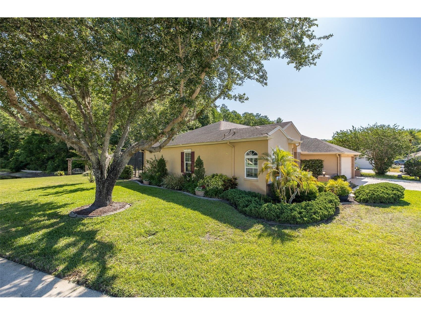 1517 Haverhill Drive New Port Richey FL 34655 W7885466 image62