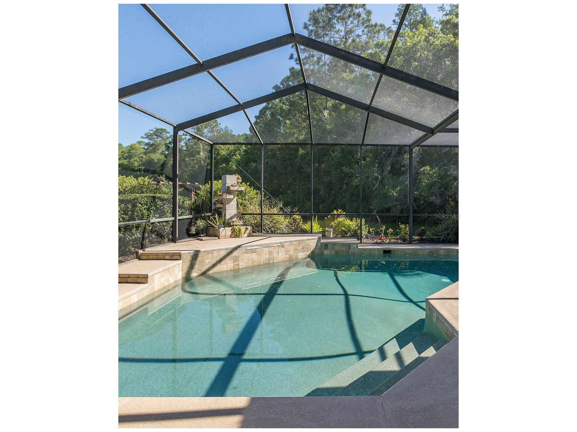 1517 Haverhill Drive New Port Richey FL 34655 W7885466 image66