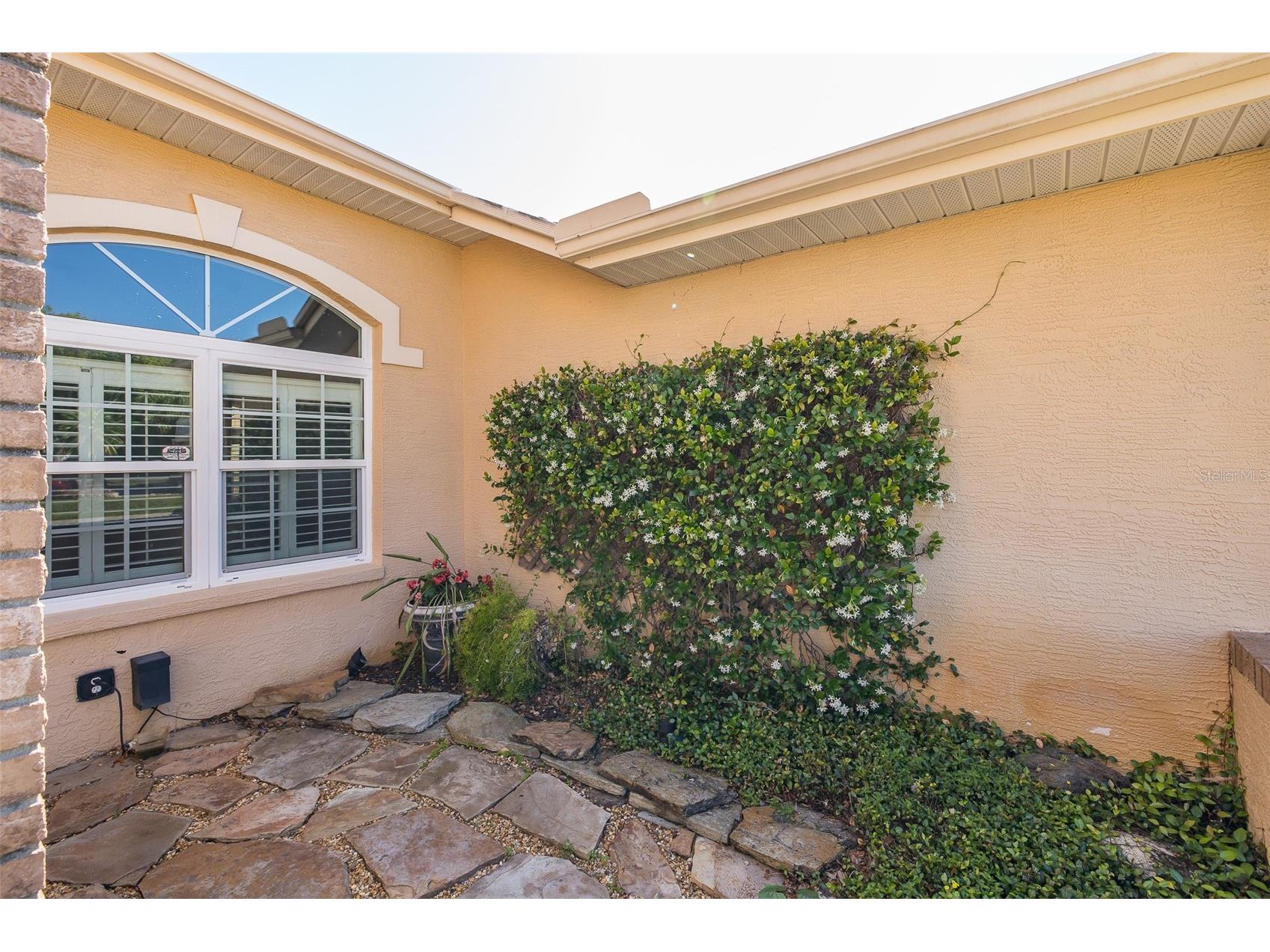 1517 Haverhill Drive New Port Richey FL 34655 W7885466 image67