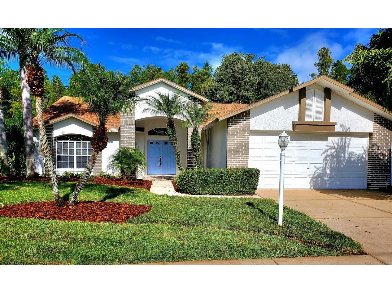 1517 Morning Rose Place Trinity FL 34655 TB8431134 image1