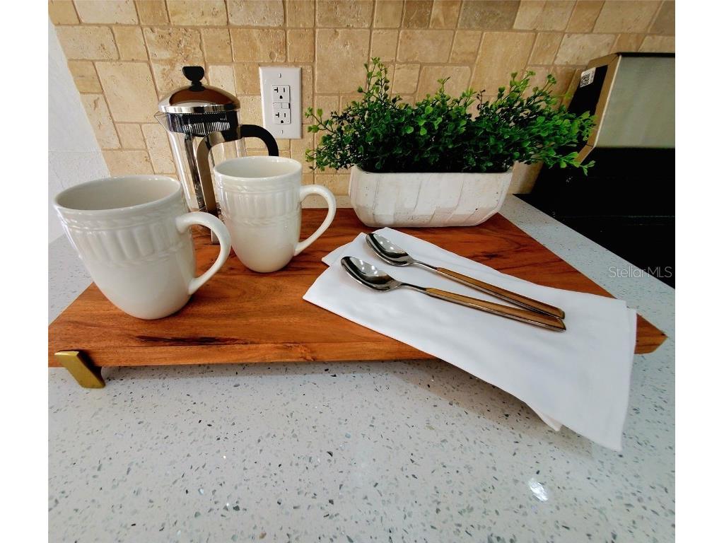 1517 Morning Rose Place Trinity FL 34655 TB8431134 image16