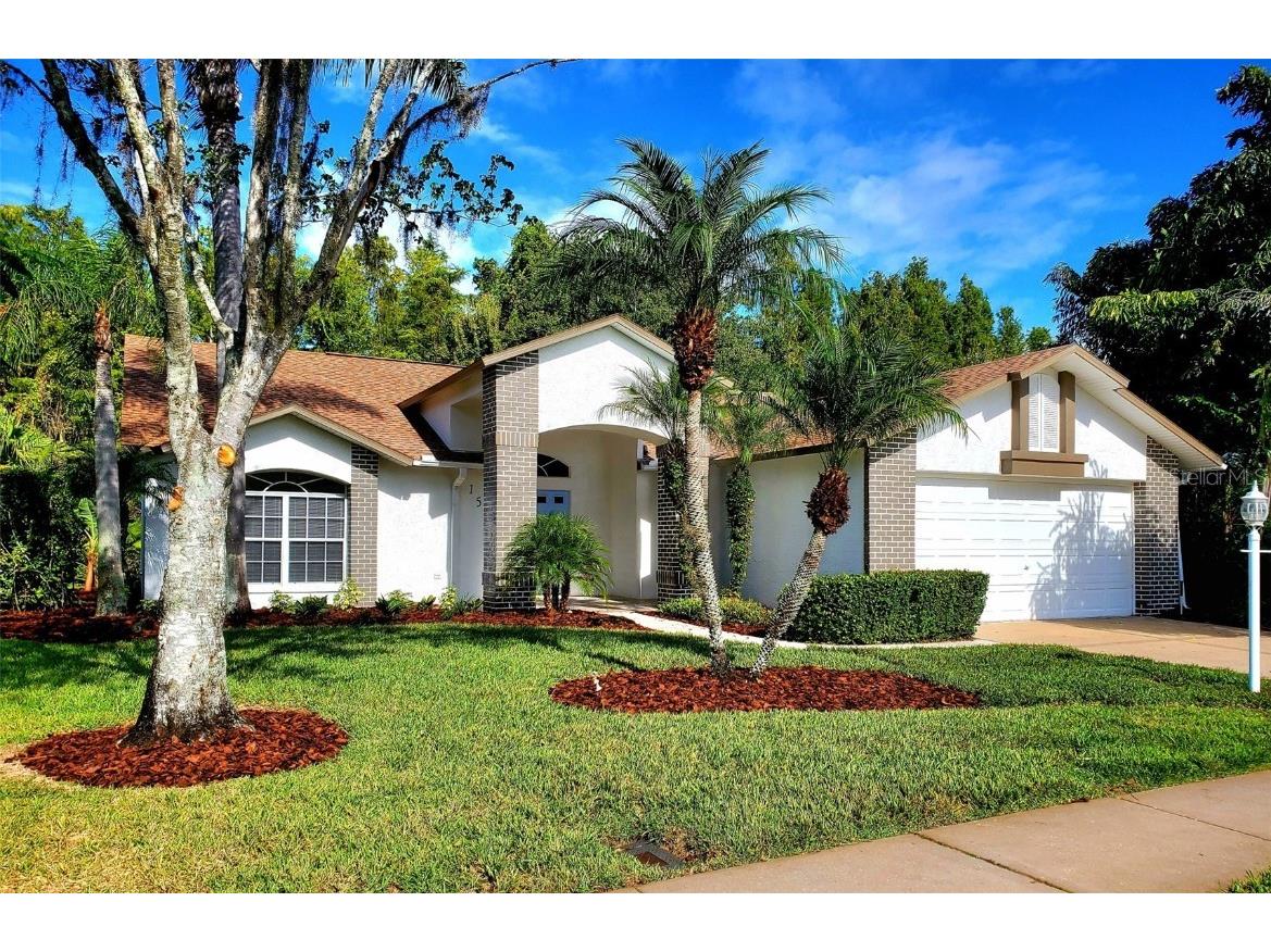 1517 Morning Rose Place Trinity FL 34655 TB8431134 image2