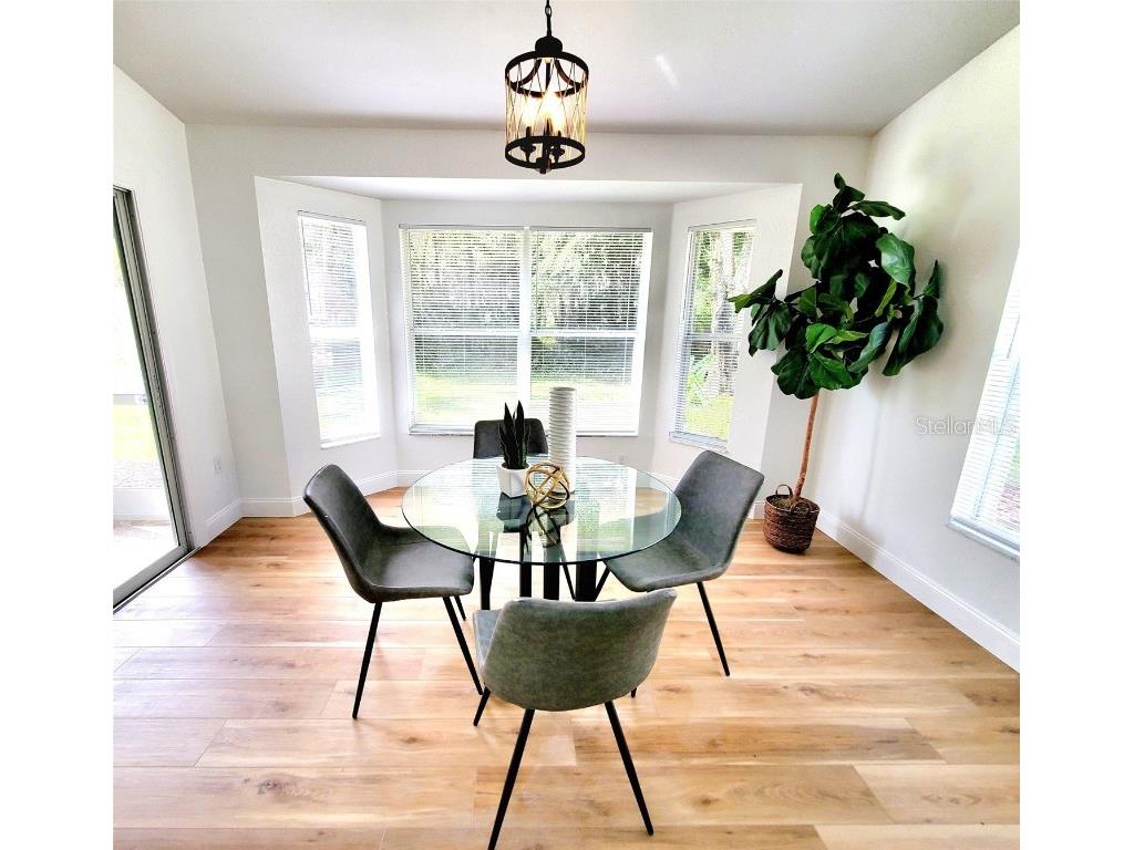 1517 Morning Rose Place Trinity FL 34655 TB8431134 image20