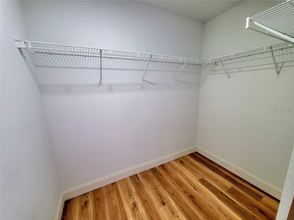 1517 Morning Rose Place Trinity FL 34655 TB8431134 image25