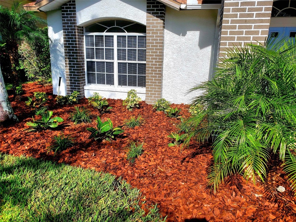 1517 Morning Rose Place Trinity FL 34655 TB8431134 image3