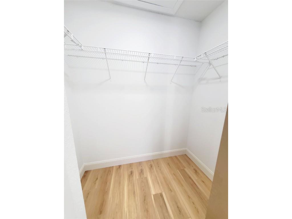 1517 Morning Rose Place Trinity FL 34655 TB8431134 image33