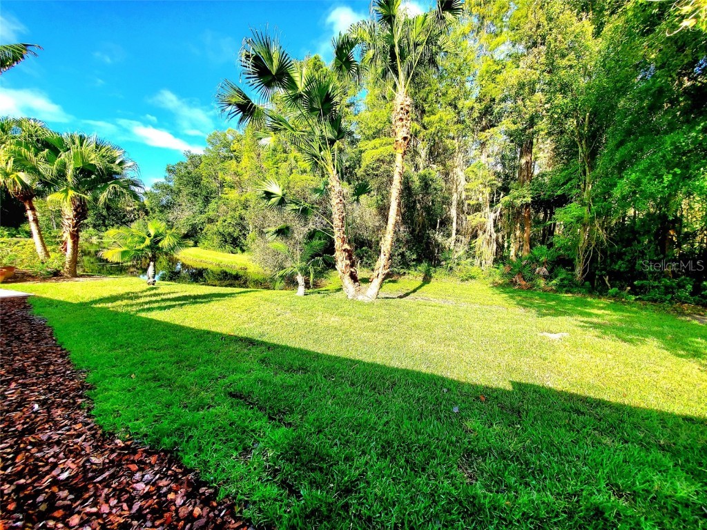 1517 Morning Rose Place Trinity FL 34655 TB8431134 image46