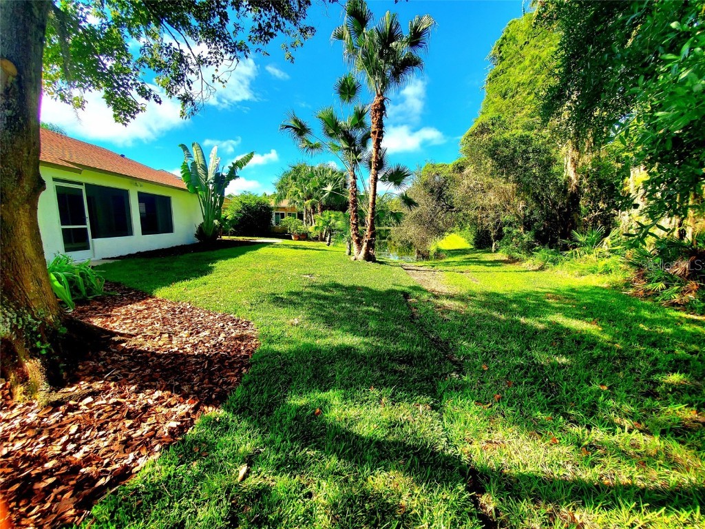 1517 Morning Rose Place Trinity FL 34655 TB8431134 image47