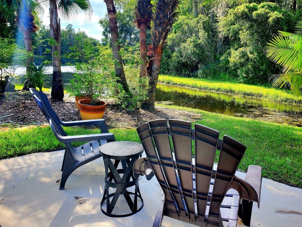 1517 Morning Rose Place Trinity FL 34655 TB8431134 image49