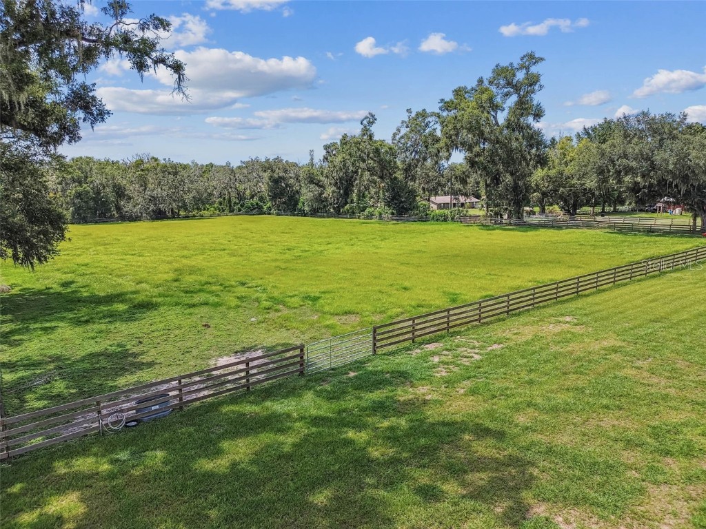 1517 Uncle Buds Lane Lithia FL 33547 TB8418321 image39