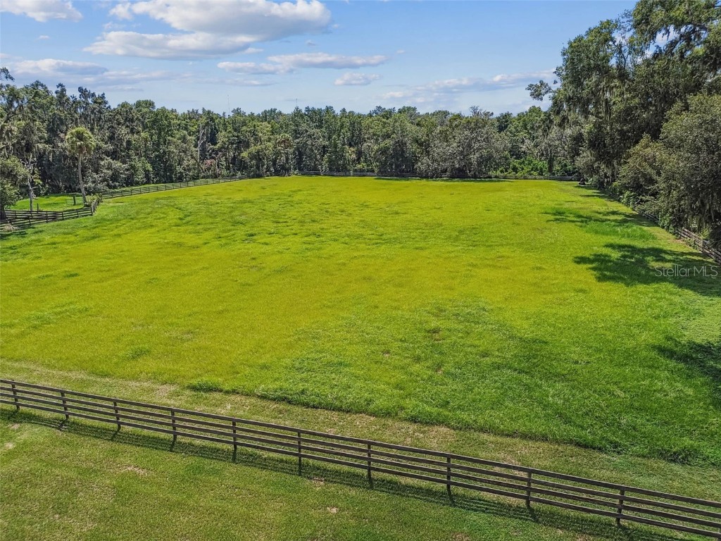 1517 Uncle Buds Lane Lithia FL 33547 TB8418321 image40