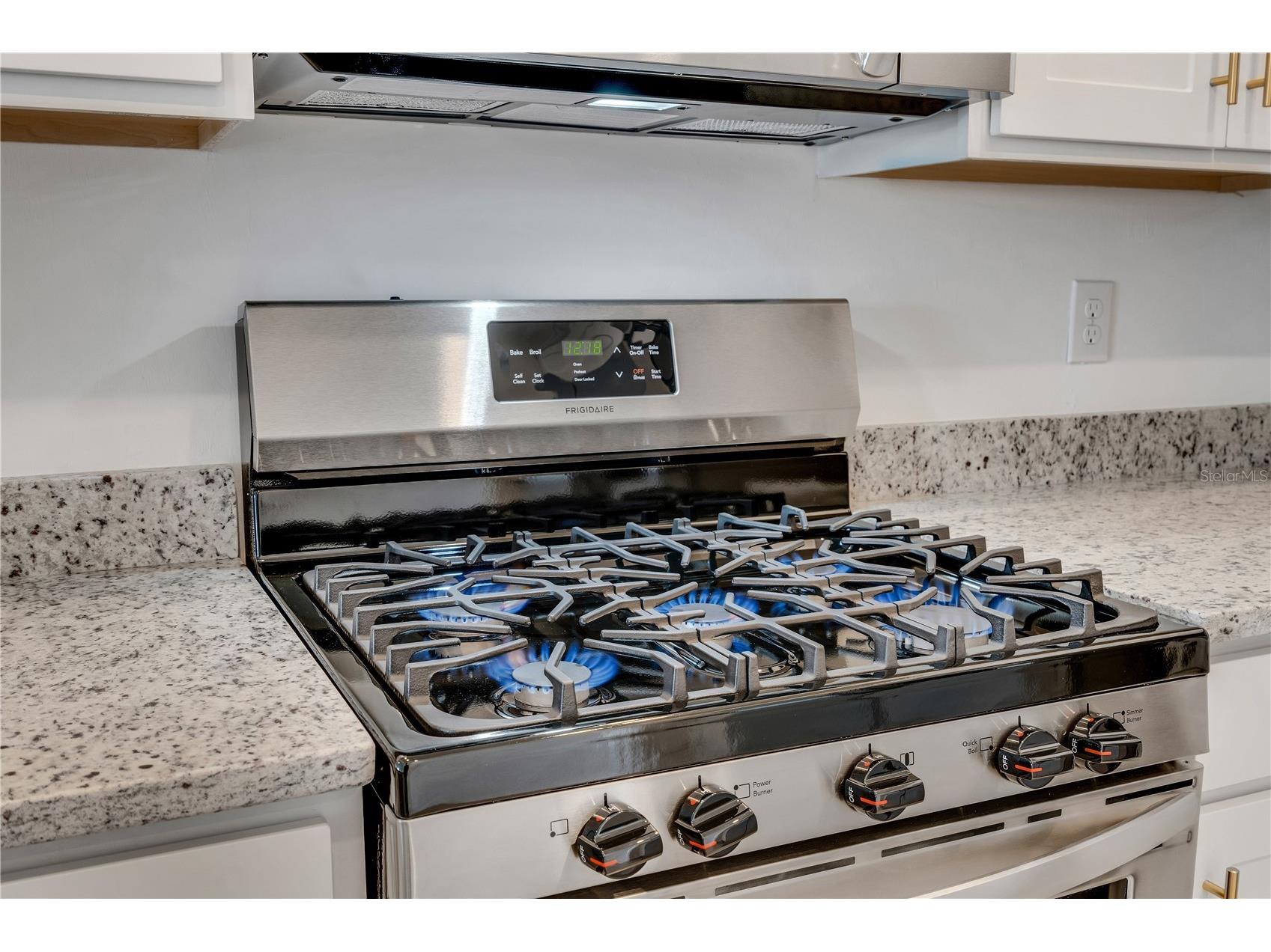 15172 Sunny Day Drive Bradenton FL 34211 A4681503 image6