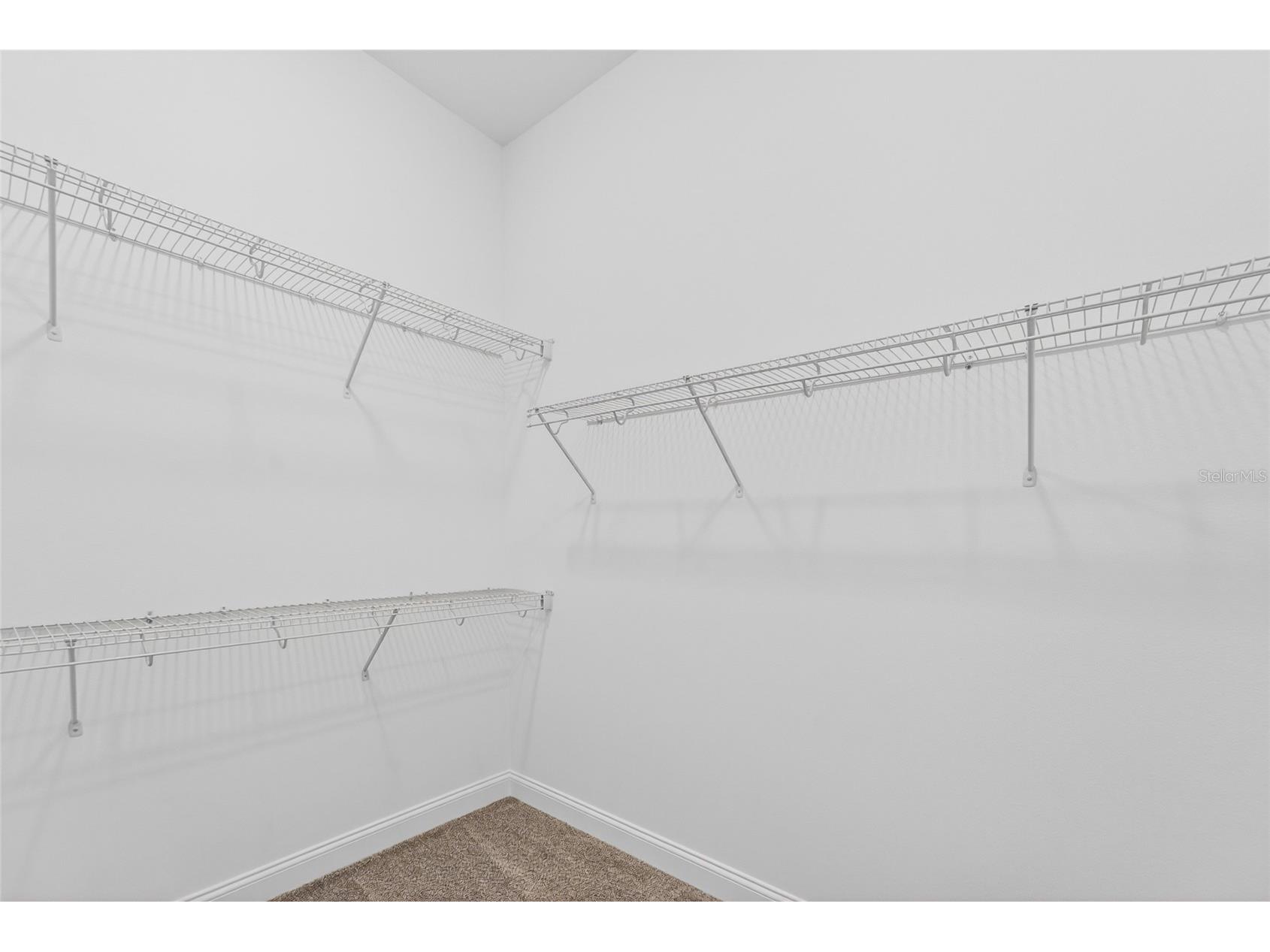 15174 Field Daisy Drive Winter Garden FL 34787 O6415990 image14