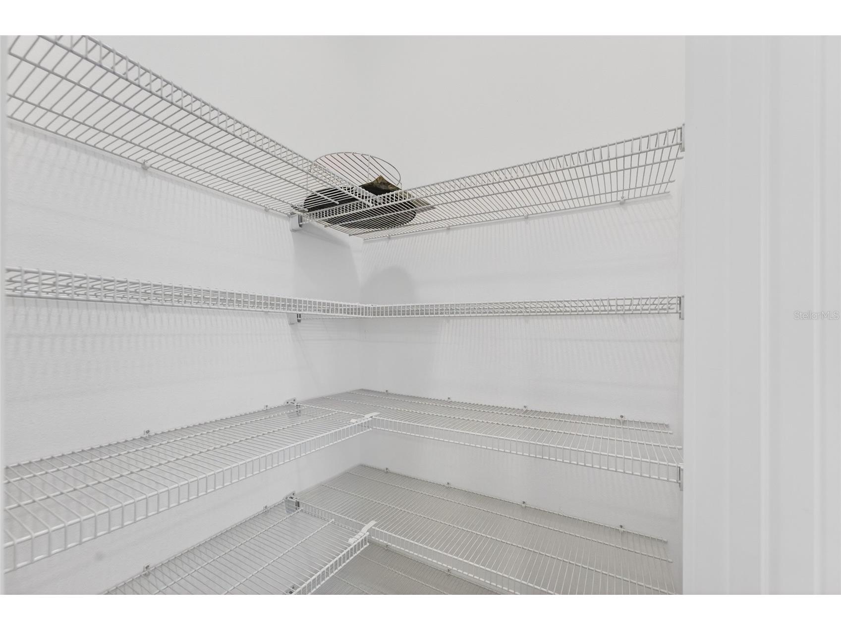 15174 Field Daisy Drive Winter Garden FL 34787 O6415990 image24