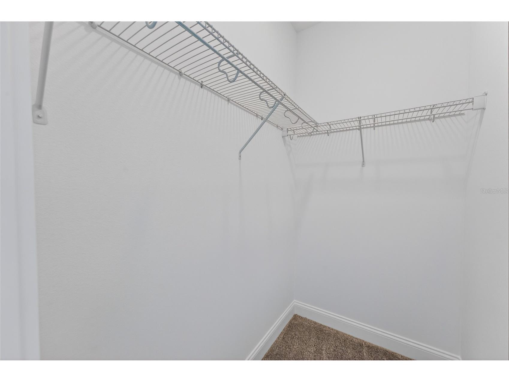 15174 Field Daisy Drive Winter Garden FL 34787 O6415990 image41