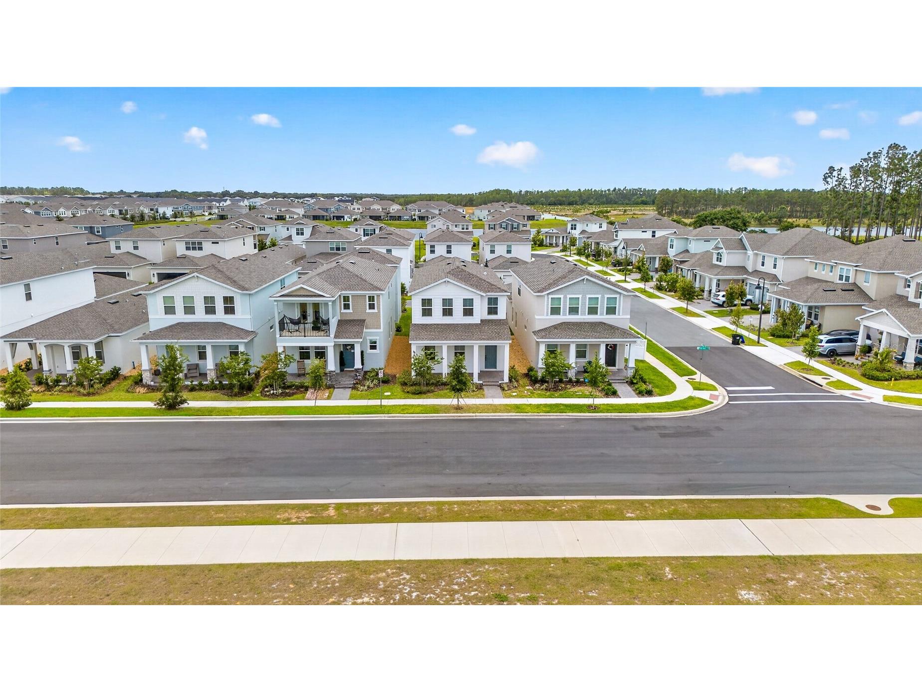 15174 Field Daisy Drive Winter Garden FL 34787 O6415990 image60