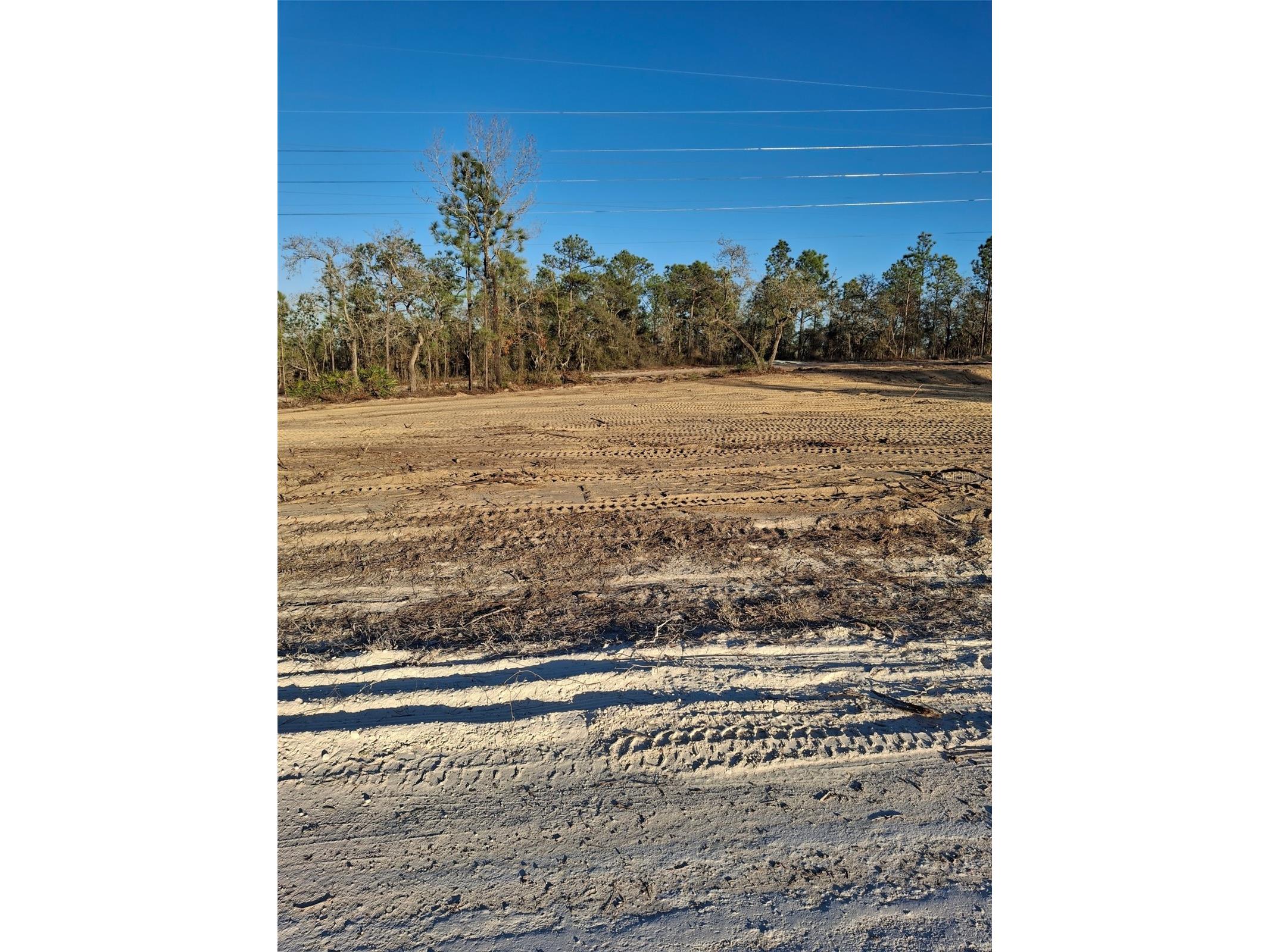 15176 Gonzo Road Weeki Wachee FL 34614 TB8451600 image1