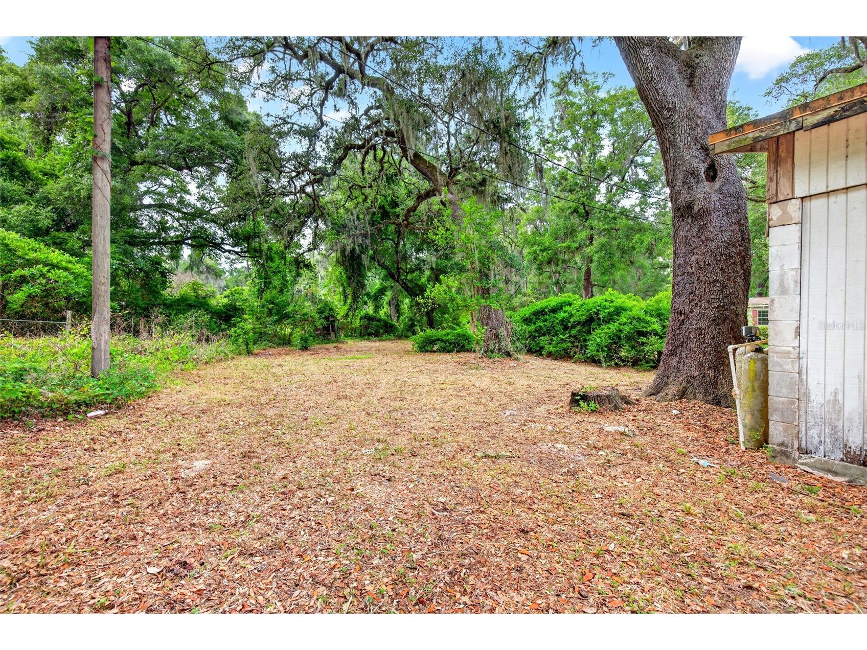 15176 NE 154th Lane Fort Mc Coy FL 32134 OM724478 image19