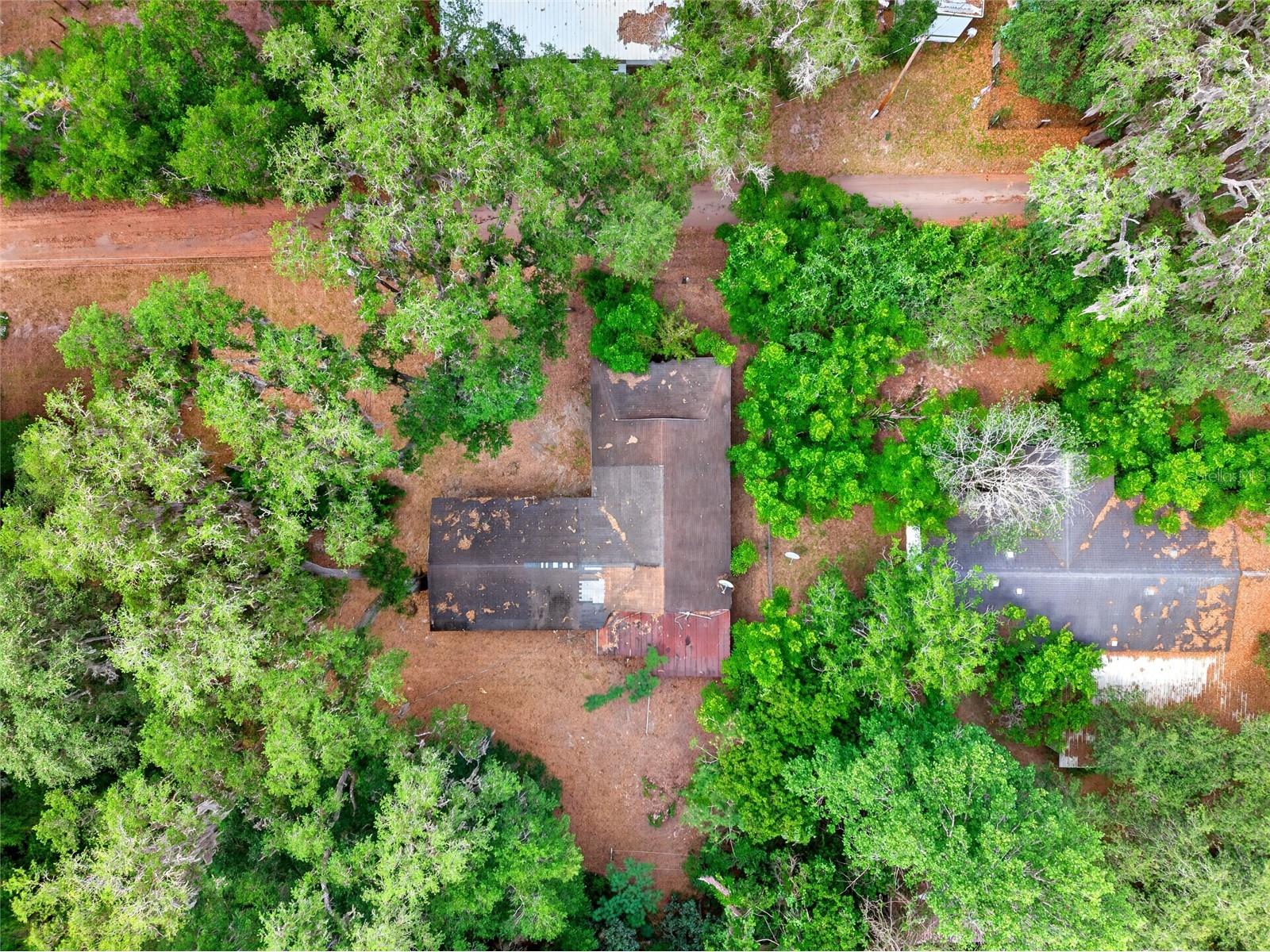 15176 NE 154th Lane Fort Mc Coy FL 32134 OM724478 image23