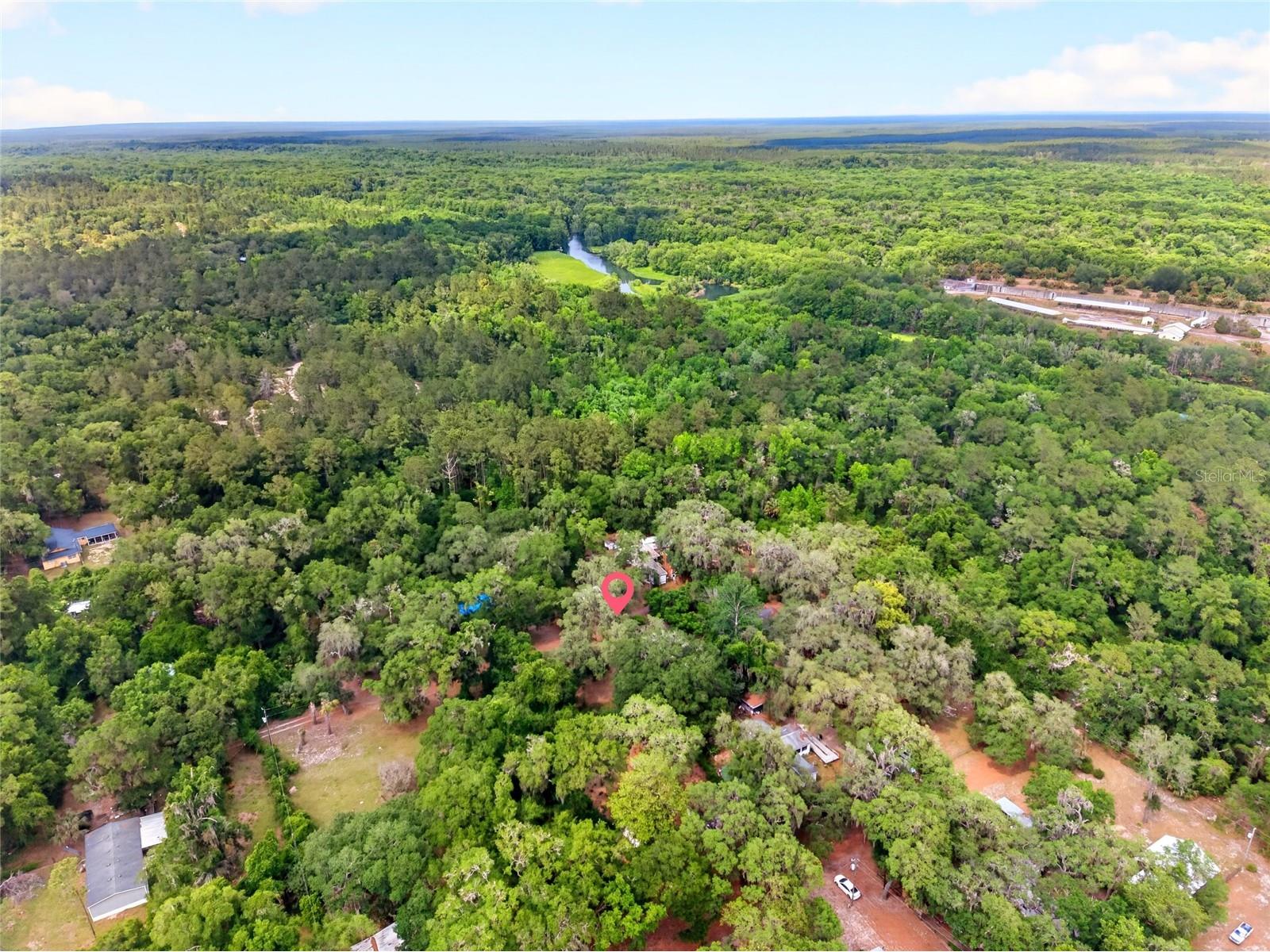 15176 NE 154th Lane Fort Mc Coy FL 32134 OM724478 image25