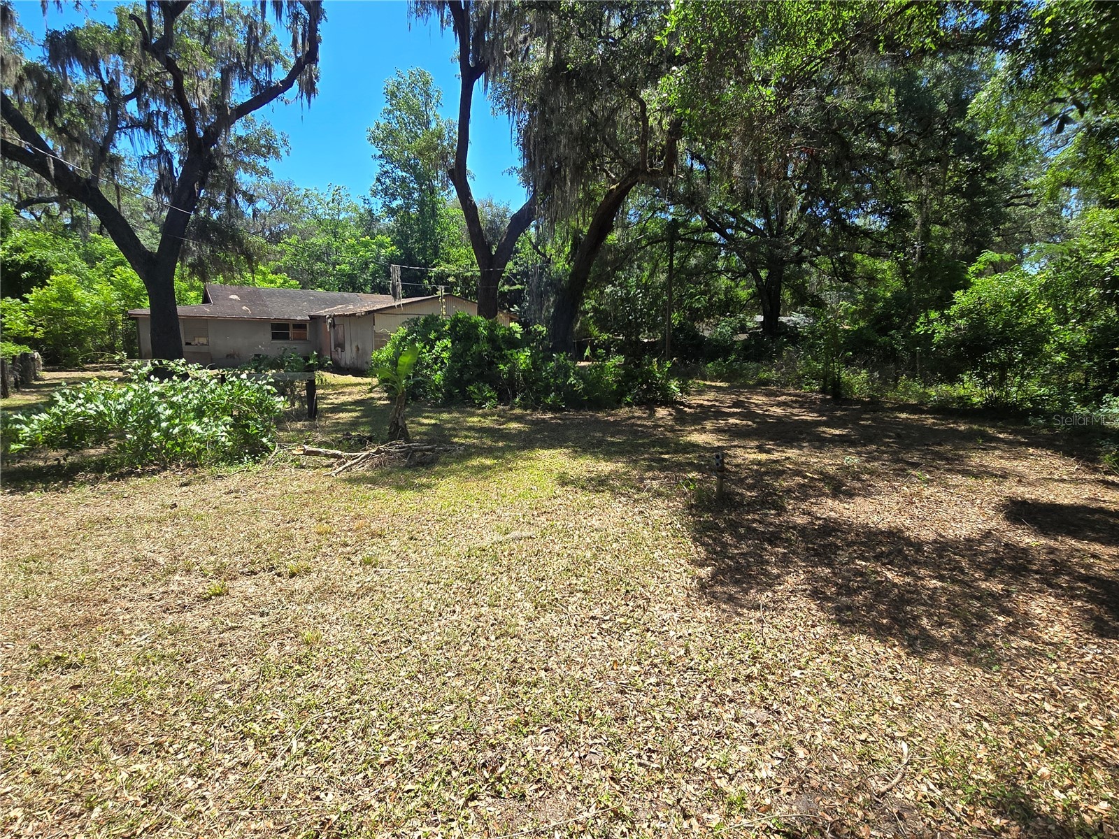 15176 NE 154th Lane Fort Mc Coy FL 32134 OM724478 image31