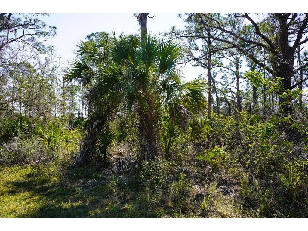 15179 Watkins Avenue Port Charlotte FL 33953 C7505833 image10