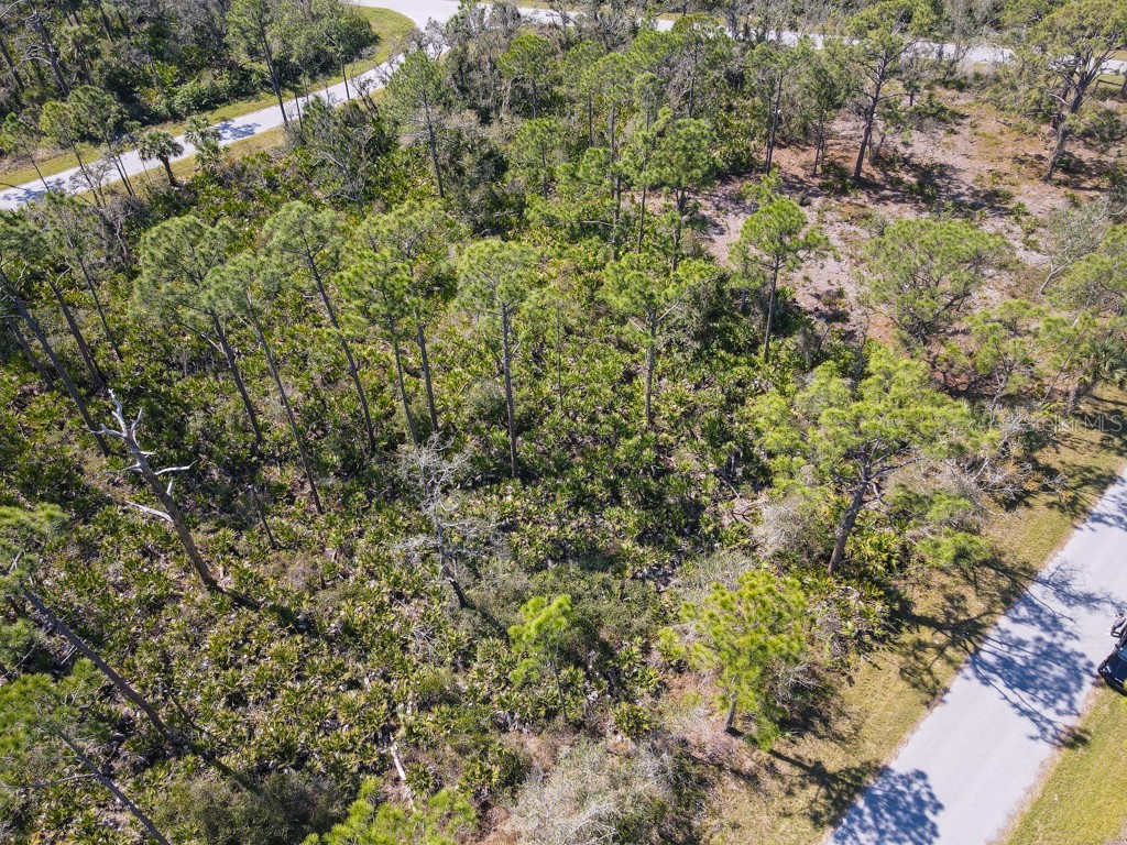 15179 Watkins Avenue Port Charlotte FL 33953 C7505833 image13