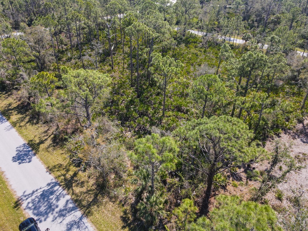 15179 Watkins Avenue Port Charlotte FL 33953 C7505833 image3