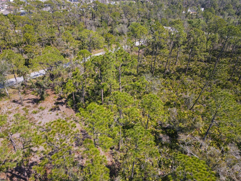 15179 Watkins Avenue Port Charlotte FL 33953 C7505833 image4