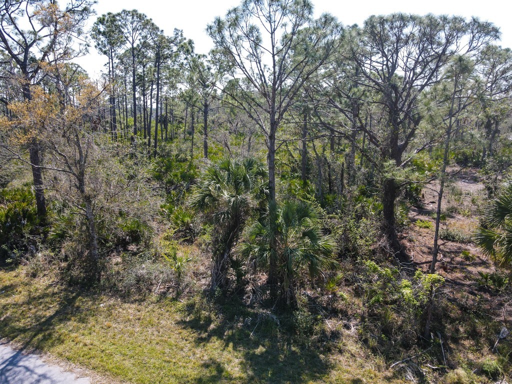 15179 Watkins Avenue Port Charlotte FL 33953 C7505833 image5