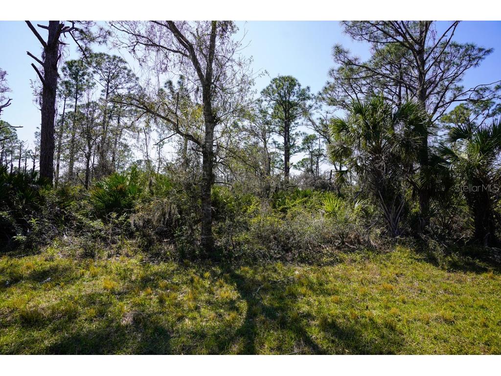 15179 Watkins Avenue Port Charlotte FL 33953 C7505833 image7