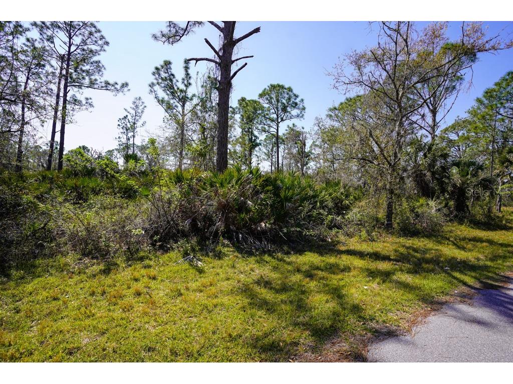 15179 Watkins Avenue Port Charlotte FL 33953 C7505833 image8