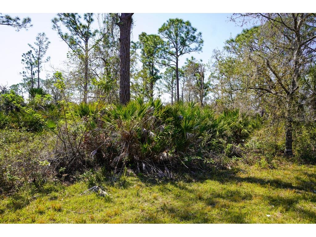 15179 Watkins Avenue Port Charlotte FL 33953 C7505833 image9