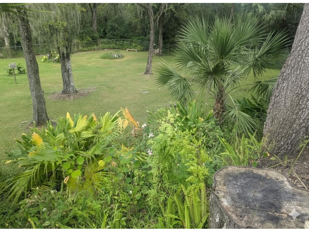 1518 Dawn Heights Drive Lakeland FL 33801 TB8437874 image28