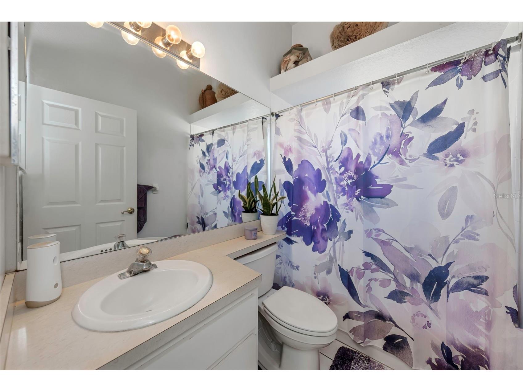 1518 Fishing Lake Drive Odessa FL 33556 TB8464108 image39